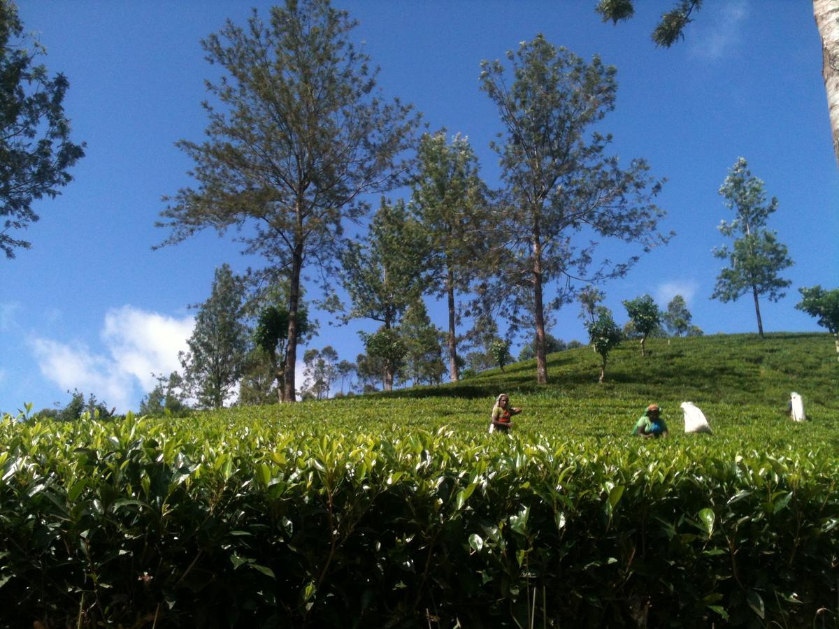 Subash Hotel Nallathanniya Exterior foto