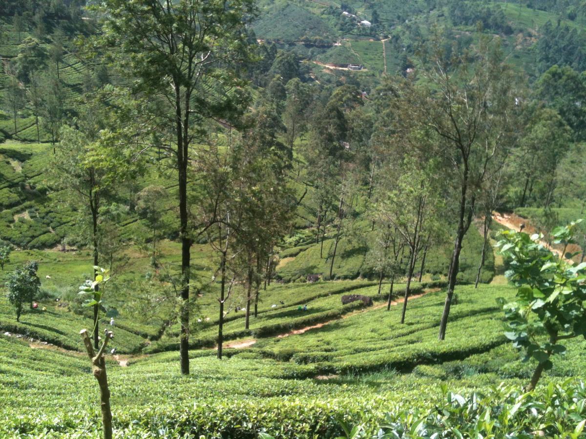 Subash Hotel Nallathanniya Exterior foto